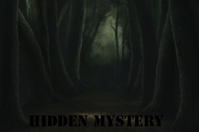Hidden Mystery